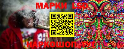 сатива Будённовск