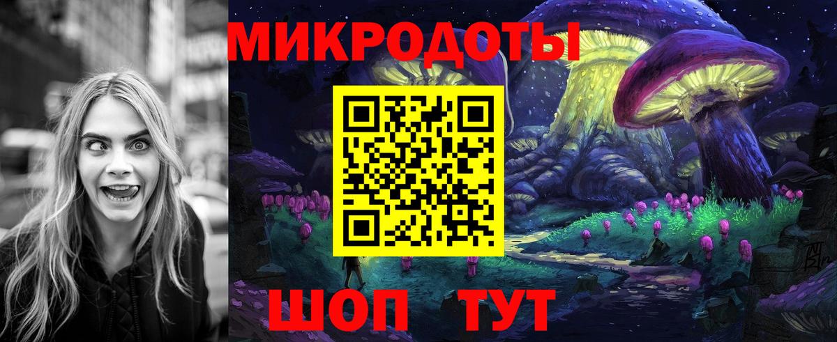 Галлюциногенные грибы Cubensis Канск