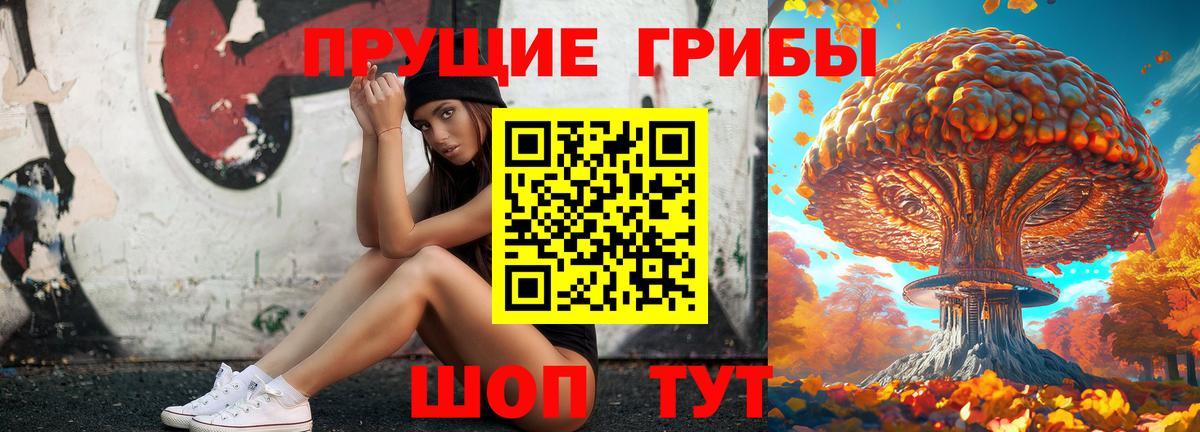 даркнет сайт  Псилоцибиновые грибы ЛСД  Галлюциногенные грибы Psilocybine cubensis  Вход с VPN  Канск 